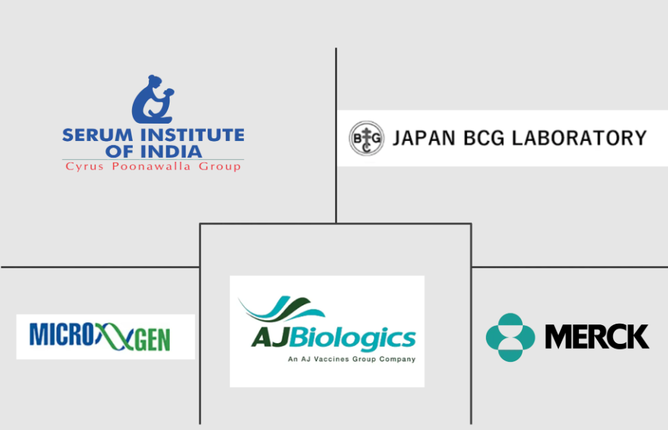Global BCG Vaccine Market Major Players
